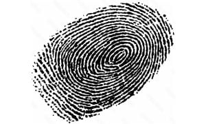 Crime and Punishment