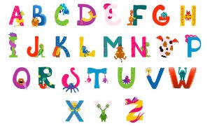 The use of visual materials during lessons with adult learners