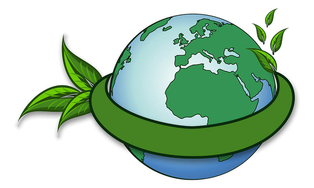 Can We Afford to Go Green? Can We Afford Not To?