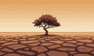 Carbon Footprint and Climate Change