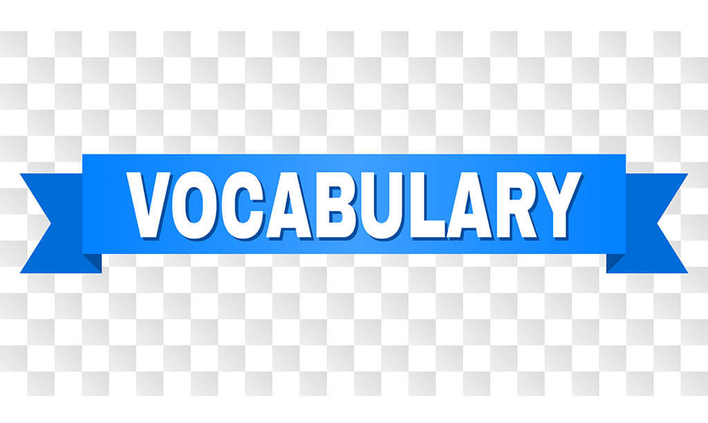 Building Vocabulary That Sticks: Beyond Flashcards and Word Lists