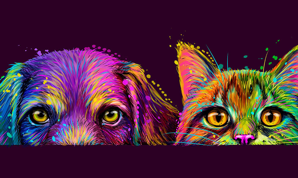 How Pets Improve Your Health