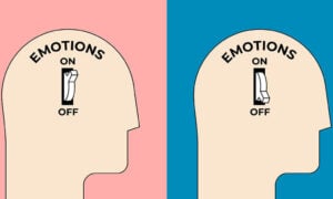 How Emotions Work