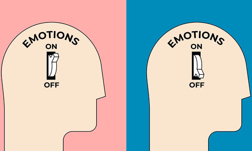 How Emotions Work
