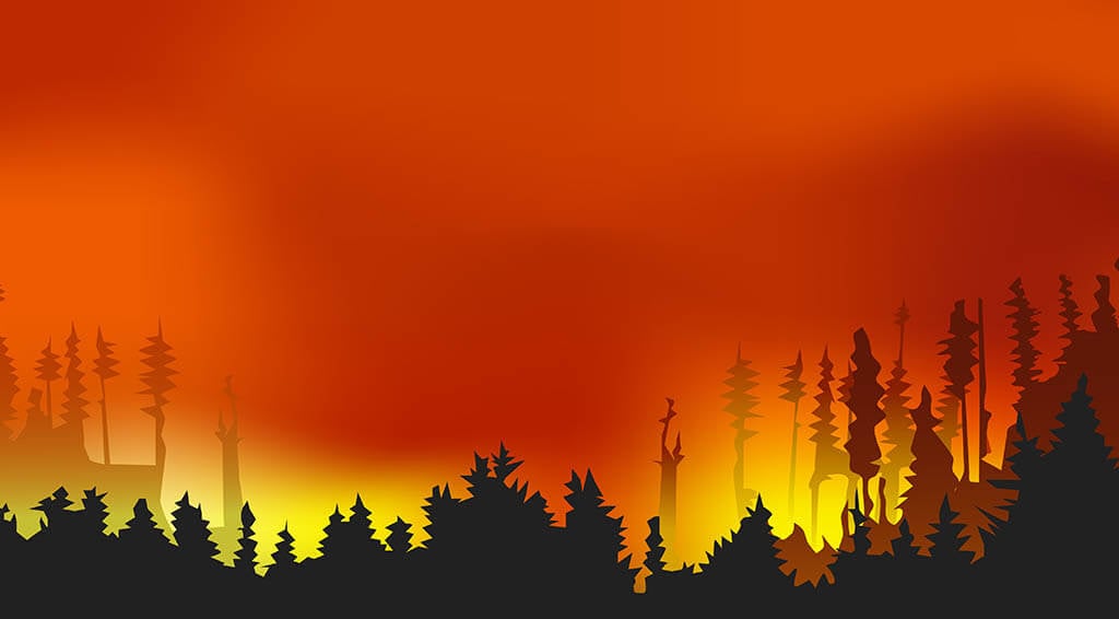 Climate Change in Action